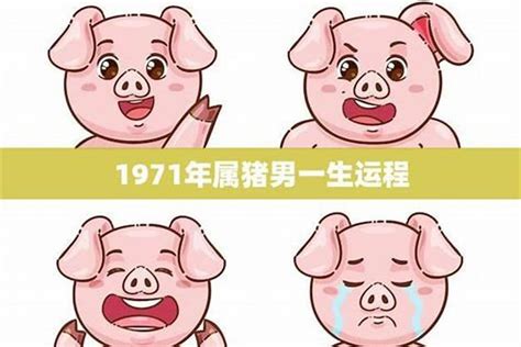 1971年属猪人的命运|1971年属猪人一生运势 1971年属猪的命运如何